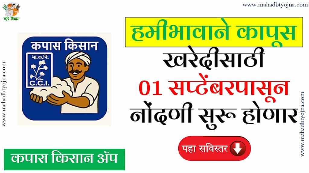 CCI Cotton Procurement हमीभाव कापूस खरेदीसाठी